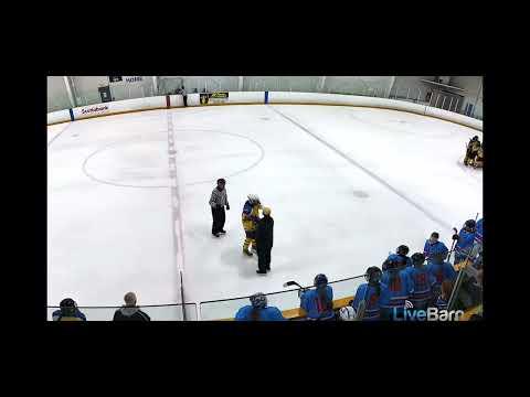 Video of Ashley Hodgins 3 vs Draft Day PETRO - Ponytail Showcase