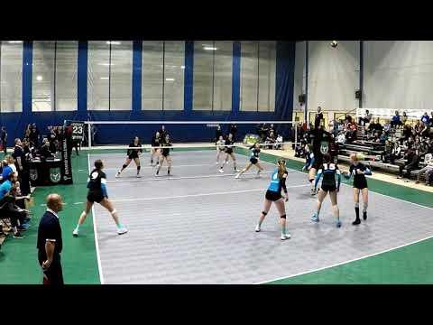 Video of Phoenix Lee - Setter/DS - Class of 2020