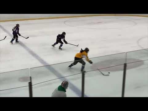 Video of Lian Sydorowicz #81 Rochester Edge 19U 2020-21 (Early season)