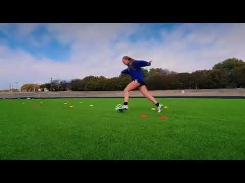 Video of Skills Session