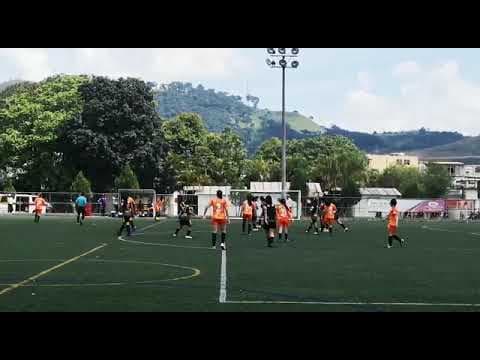 Video of Futbol Videos
