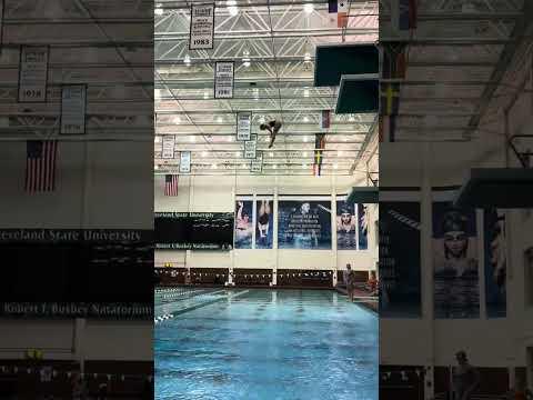 Video of First dive off 10M! (arm stand flip!)