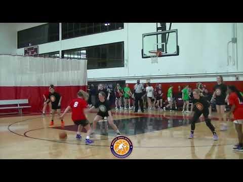 Video of Allison Hampel #10 Midwest Elite 90 - March 2022