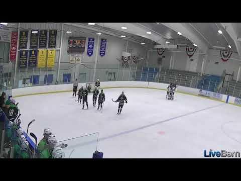 Video of NGHL Labor Day 2020 Goal