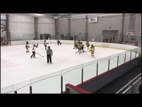 Video of Maddy Glotfelty Highlight Reel Hockey 2021 (Jersey #11)