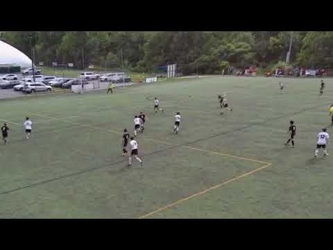 Video of Matt Librizzi Freshman Year Highlights