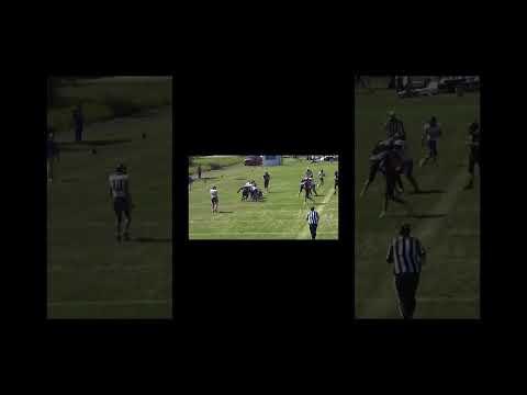 Video of week 2-3 highlights 