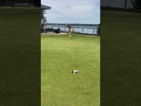 Video of chipping 6/7/23