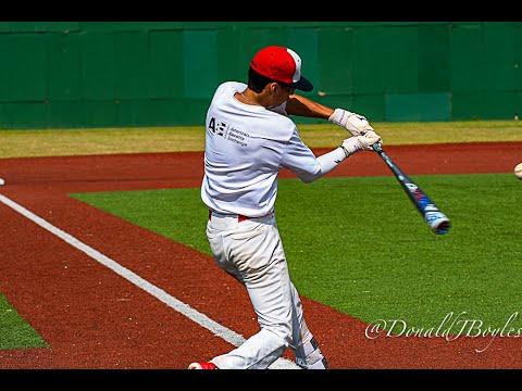 Video of Mario Mendoza 2021 MIF May 2020