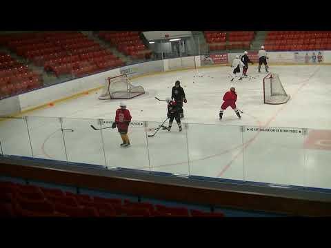 Video of Skill Development Ice Session 19-Feb-21