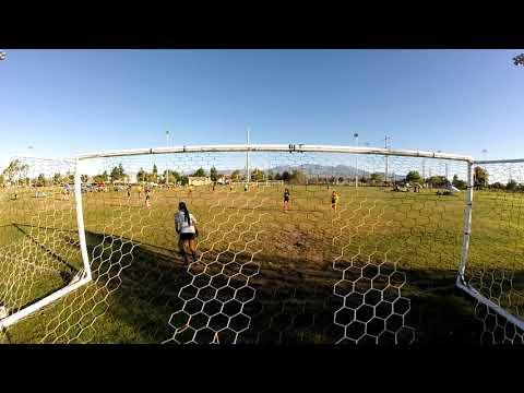 Video of Rylee Goals Scored 2018 Club Season