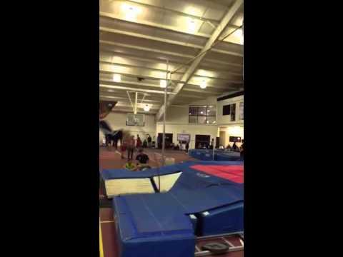 Video of Stephen 2014 Lebanon Valley College 14'0"