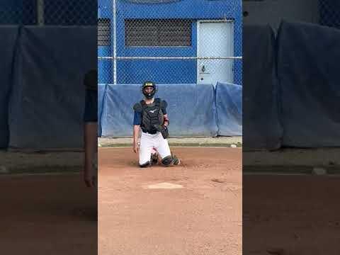 Video of Catching Training