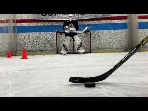 Video of Goalcrease Sessions 2 and 3