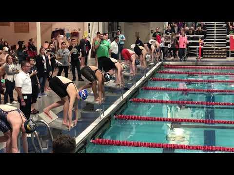 Video of 2020 Winter Junior Olympics 200 Yd Breaststroke @ age 14 time 2:23.77