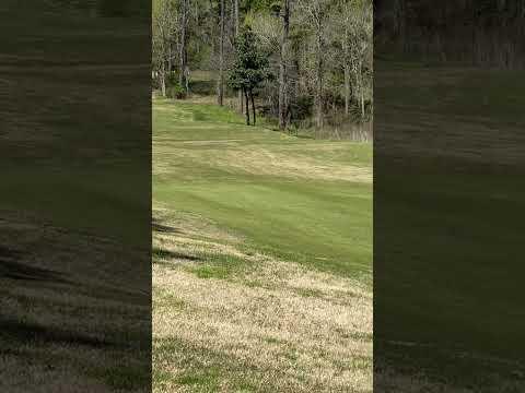 Video of Aydan Watson March 25th 2022 Par 3 165 yards 