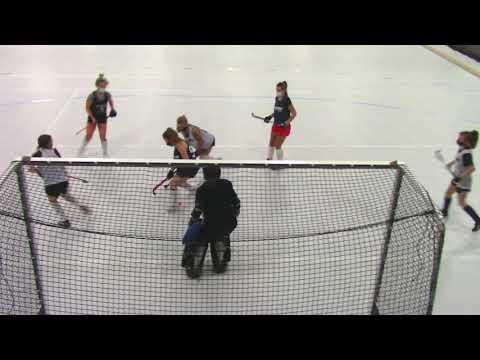 Video of Indoor Field Hockey 2021