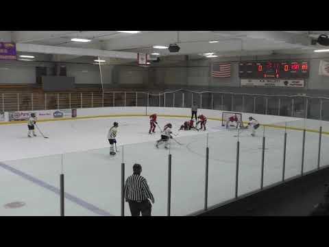 Video of Alyssa Knauf #3 White Fury Power Play Goal 1-23-2021