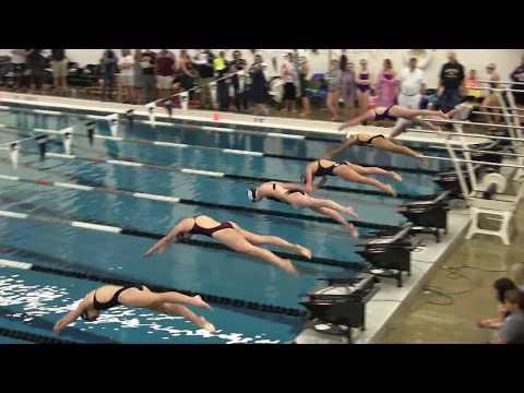 Video of Conference 2018 100 Breast Stroke