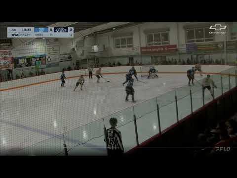 Video of Shutput v blues. MJHL