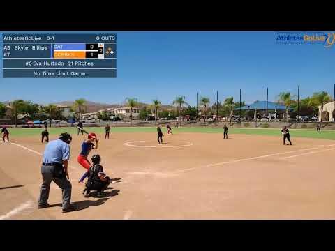 Video of Sky Homerun