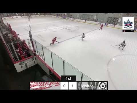 Video of 2023 JWHL 19u Goal