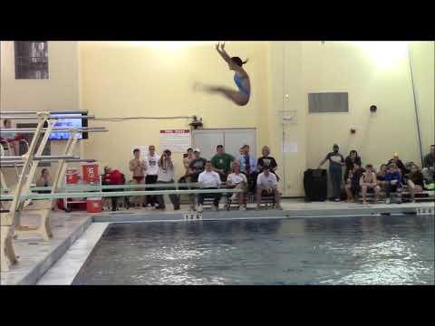 Video of 1 meter Diving Compilation
