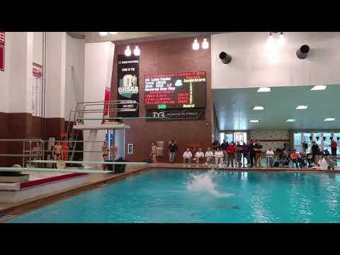 Video of #NHdiving Benedictine's Luke Faulisi state dives