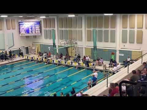 Video of 2020 AK Senior Championships - 200 Breast Final