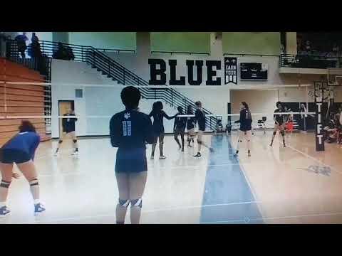 Video of Elizabeth Woods setter #11 Blue and white, #19 in lime