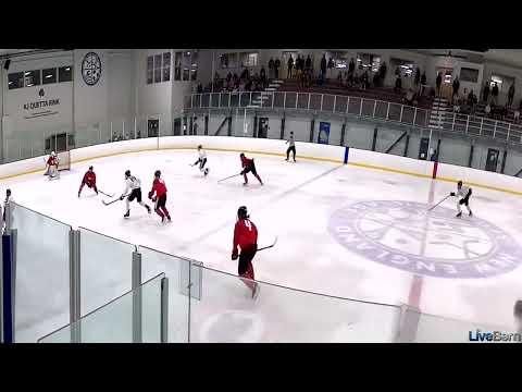 Video of Declan Rochino (Red 4) stays in play and scores at USA Hockey New England Development Camp