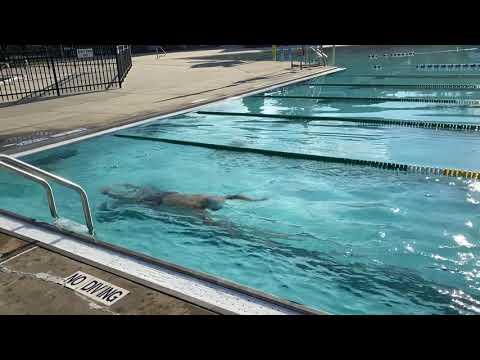 Video of 50 Fly