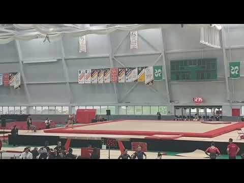 Video of Eastern Canadian Highlights Level 10 