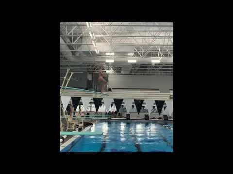 Video of Updated 3 Meter Dives