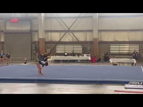 Video of 9.675 Floor State Championship