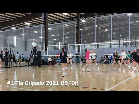 Video of volleyball