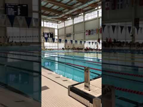 Video of 50 fly(orange cap)