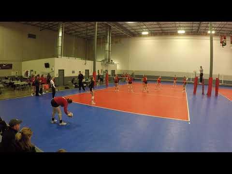 Video of Setter #8 (6-2) - Full play film