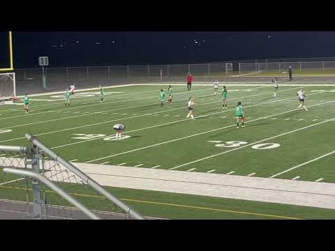 Video of A Few Senior Yr Goals 