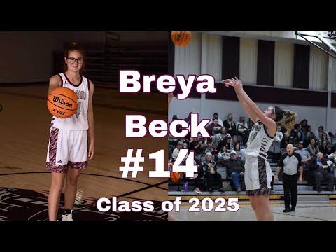 Video of Breya Beck, 2025 Grad, 5’9” Small Forward, 17ppg, 3.94 GPA, Video Included