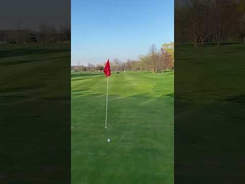 Video of Swing Highlights