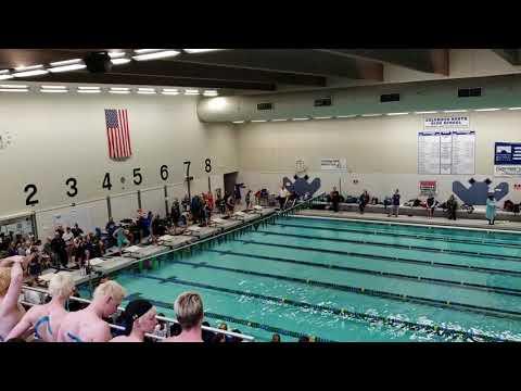 Video of Kyra Hall 2019 IHSAA COLUMBUS NORTH SECTIONALS- 58.88 100 yd Fly