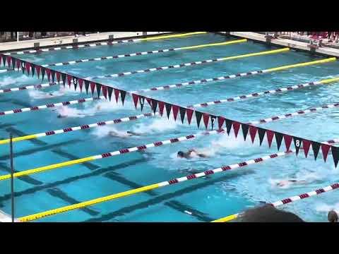 Video of 100 Free