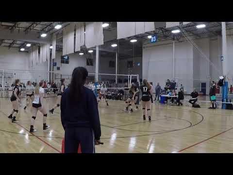 Video of SCVA Qualifying