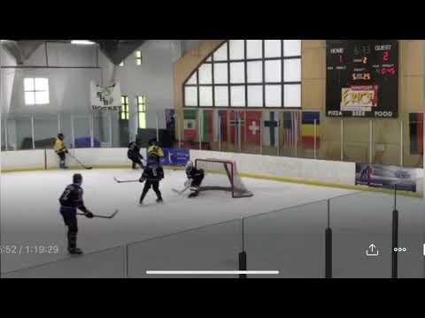 Video of Damion Williams Hockey