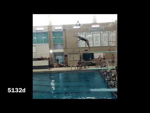 Video of Alayna McCormick dives class of 2025