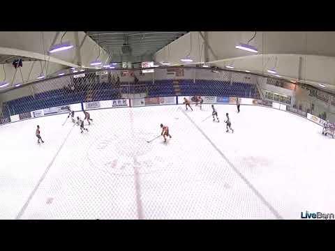 Video of Hershey Tournament 3/3/2024 2nd goal 