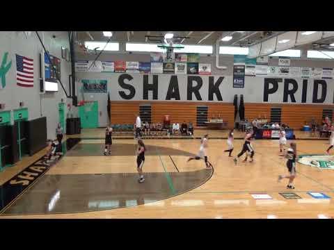 Video of Sydnie Hall 2020 2017-2018 highlights 