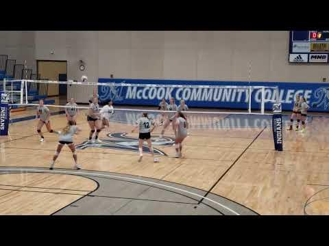 Video of Harley Ludacka Setter 2023