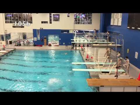 Video of Lucas Dekaney February/ March 1 meter diving